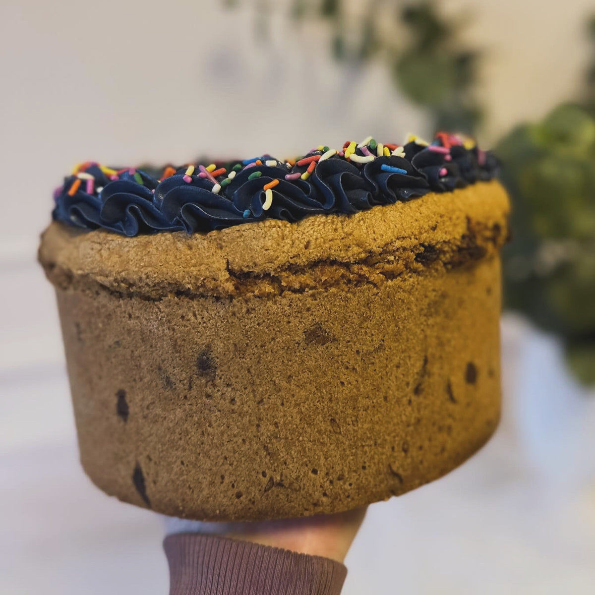 Whole Cookie Pie (9104867230045)