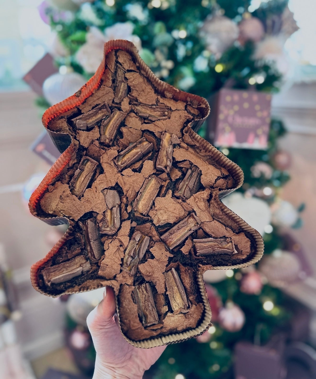 🎄✨ XL CHRISTMAS TREE BROWNIE ✨🎄 (15761566794077)