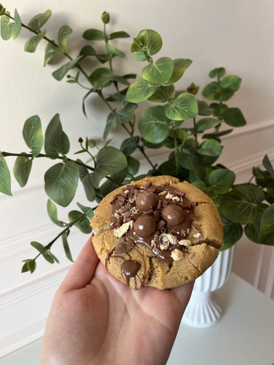 Stuffed Cookies (9181151232349)