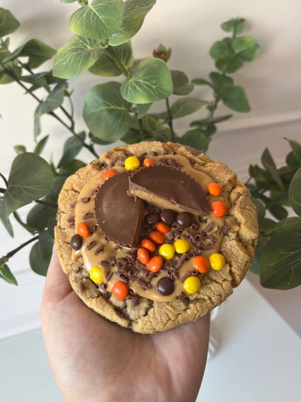 Stuffed Cookies (9181151232349)