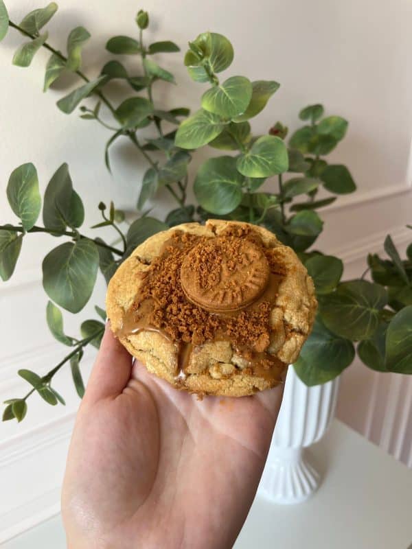 Stuffed Cookies (9181151232349)